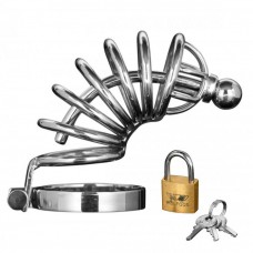 Asylum 6 Ring Locking Chastity Cage